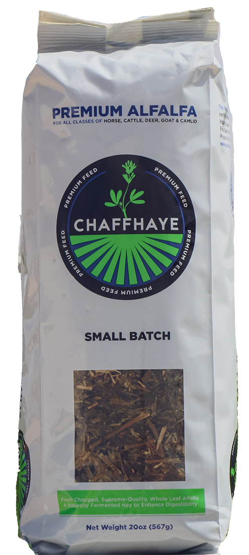 Chaffhaye 2025 for horses